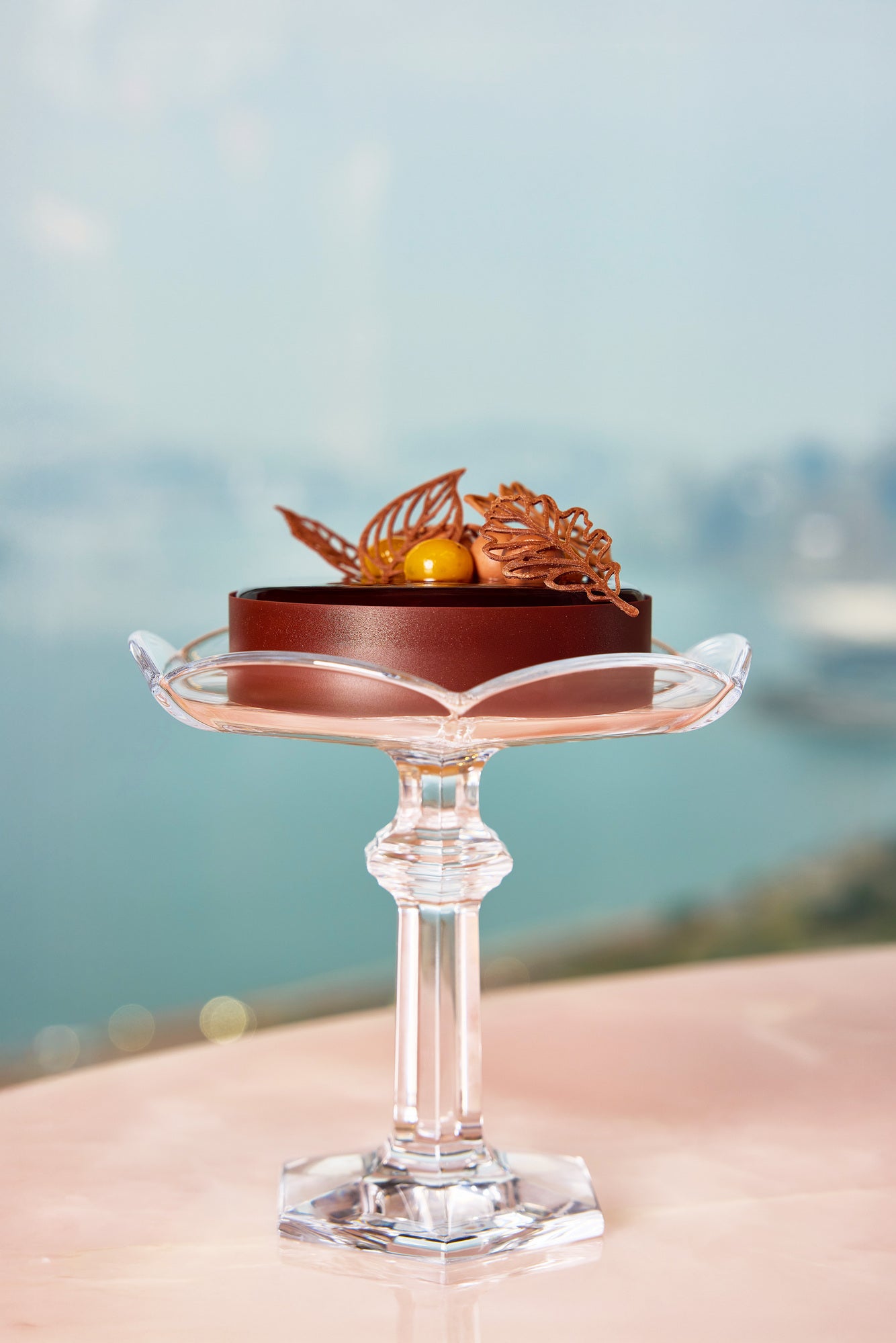 Chocolate Cake from Cristal Room by Anne-Sophie Pic