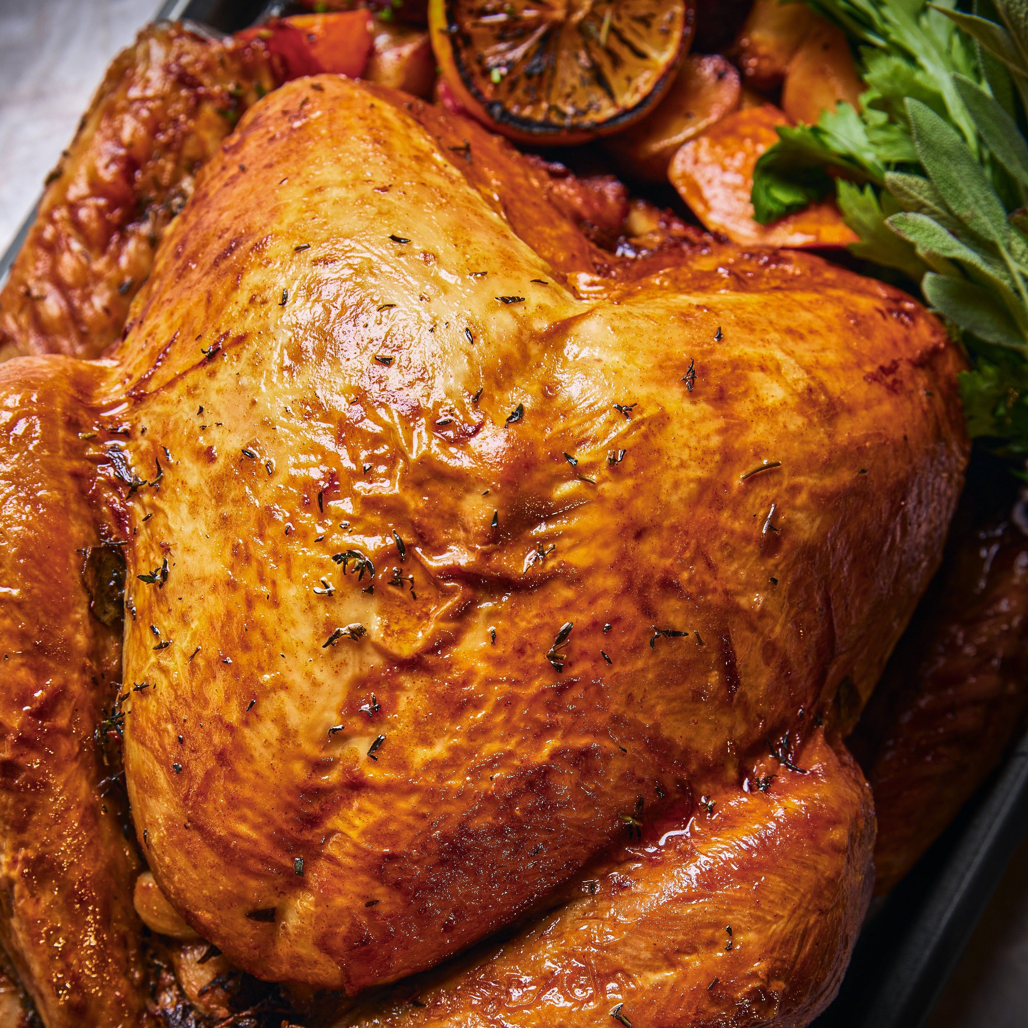 Morty's Roasted Turkey Feast